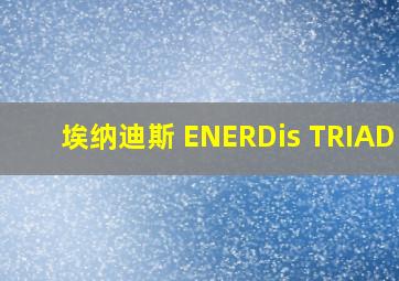 埃纳迪斯 ENERDis TRIAD 2